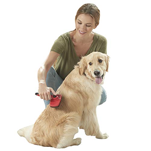 Foto 1 | Franklin Pet Supply, Shed-master, Cepillo De Aseo Para Perro - Venta Internacional.