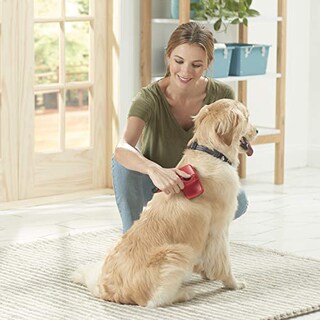 Foto 5 | Franklin Pet Supply, Shed-master, Cepillo De Aseo Para Perro - Venta Internacional.