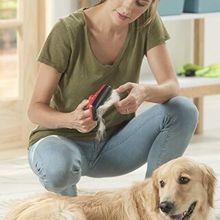 Foto 6 | Franklin Pet Supply, Shed-master, Cepillo De Aseo Para Perro - Venta Internacional.