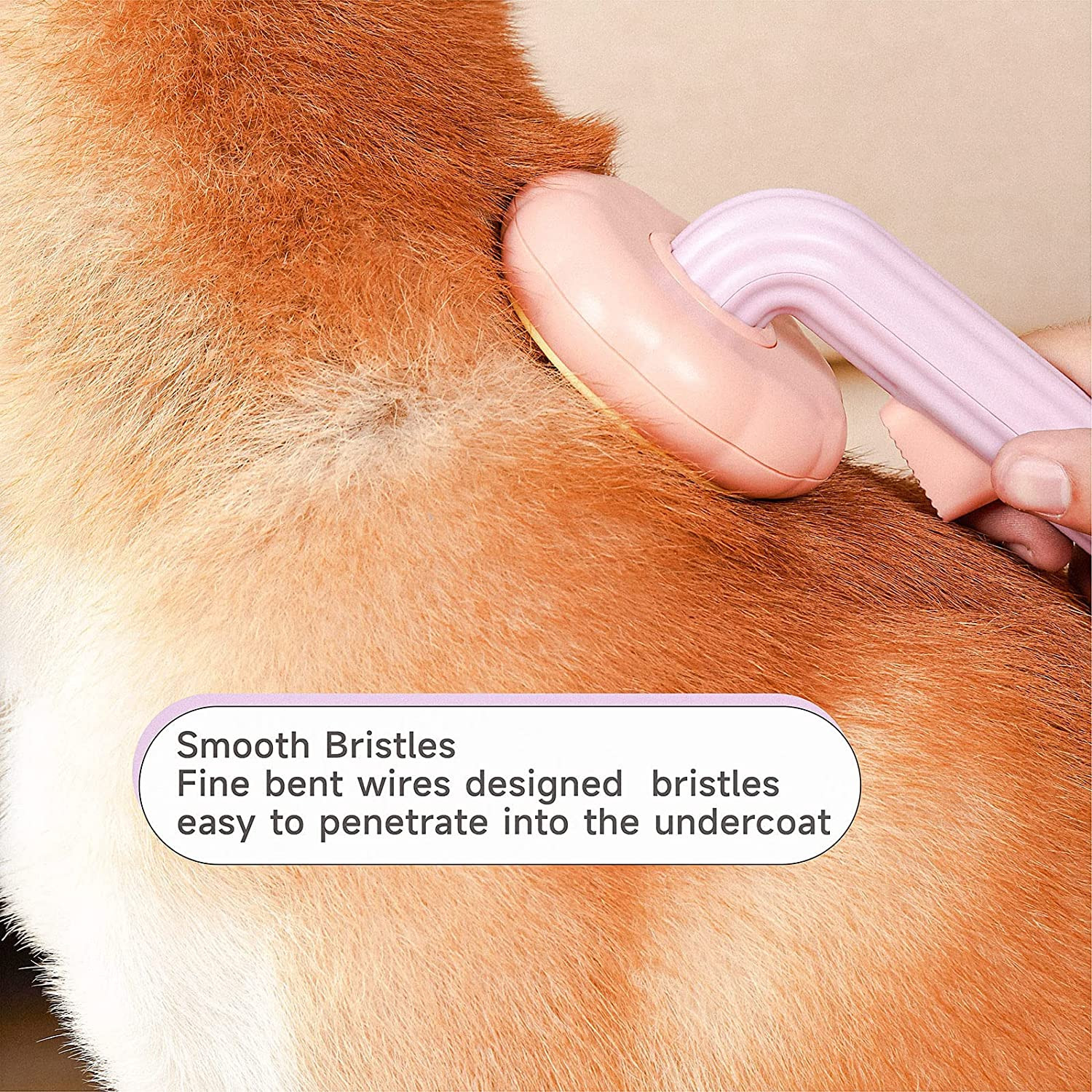 Foto 7 pulgar | Cepillo De Aseo Para Mascotas Jieyou Para Perros Y Gatos Con Partículas De Masaje - Venta Internacional.