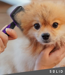 Foto 6 | Pet Slicker Brush, Sólido, Autolimpiante, Para Perros Y Gatos - Venta Internacional.