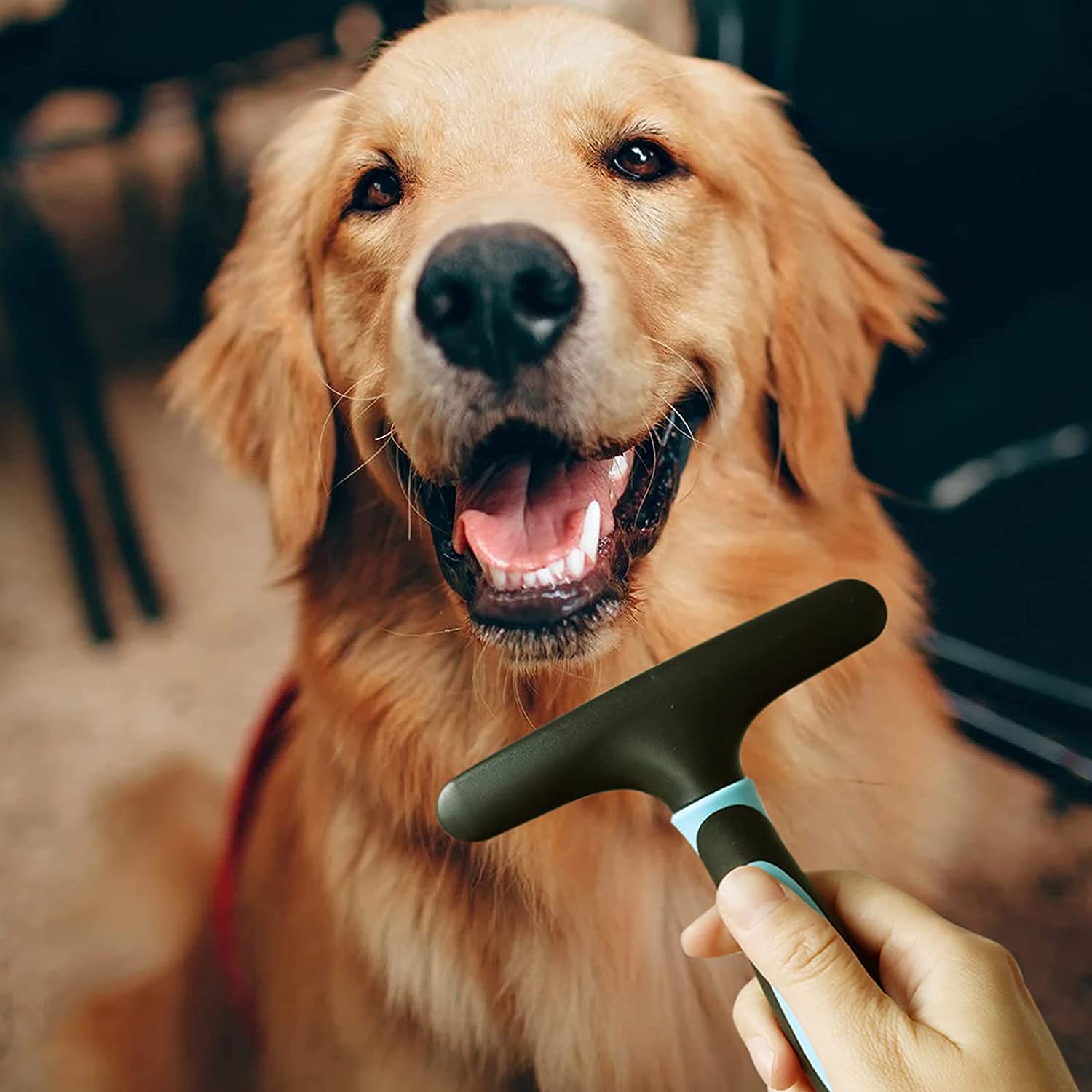 Foto 5 pulgar | Cepillo De Aseo Para Mascotas Con Diseño Fioviel Para Perros - Venta Internacional.