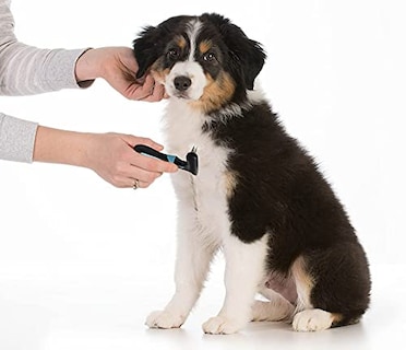 Foto 2 | Cepillo Descascarillador DOGI con Rastrillo para Perros y Gatos - Venta Internacional
