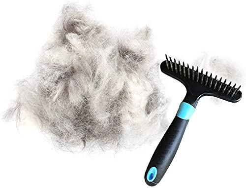 Foto 4 pulgar | Cepillo Descascarillador DOGI con Rastrillo para Perros y Gatos - Venta Internacional