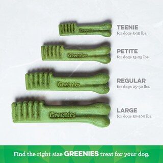 Foto 6 | Tratamientos Dentales Greenies Fresh Para Perros Y Adolescentes, 5-7 Kg, Paquete De 43 - Venta Internacional.