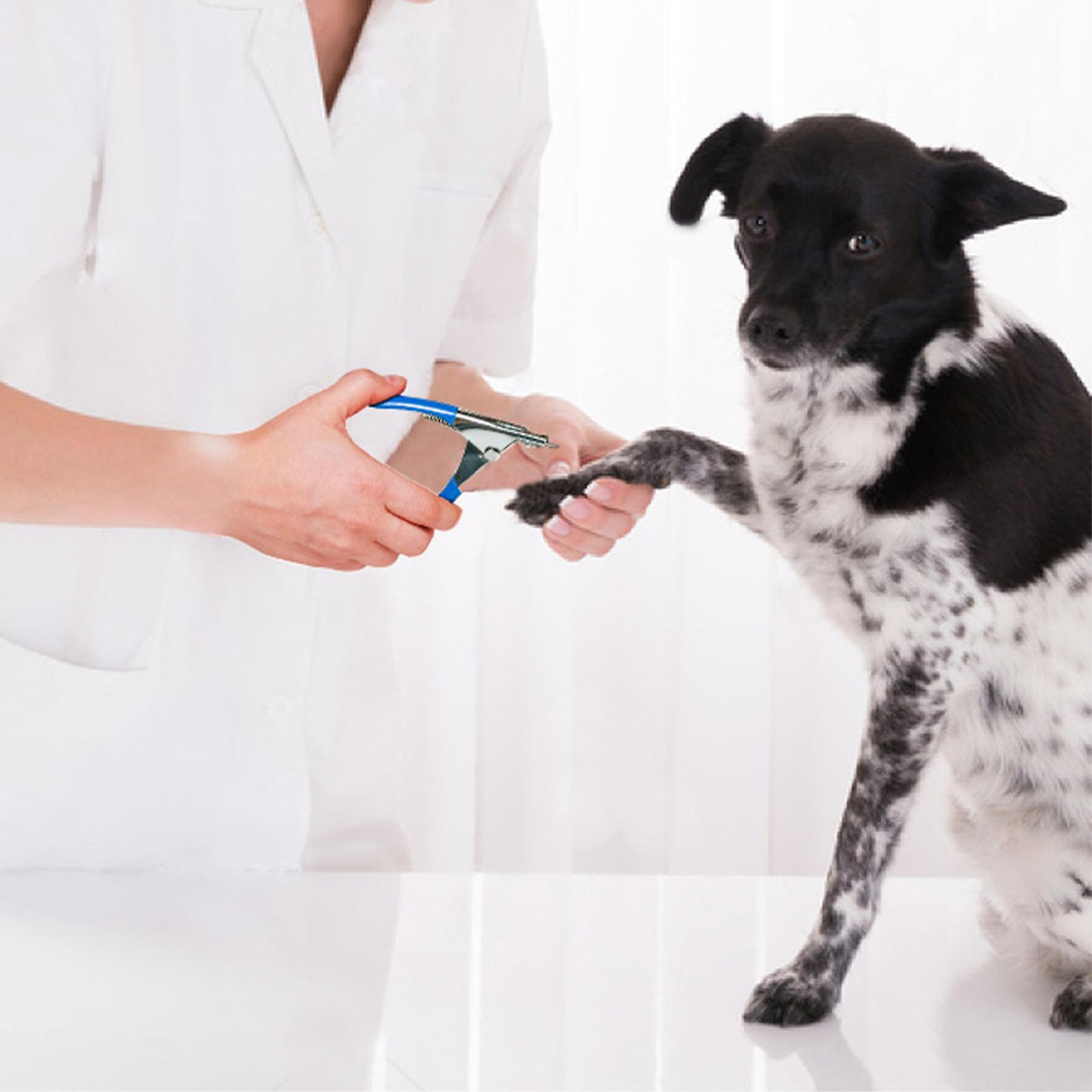 Foto 5 | Kit De Limpieza Para Mascotas Huoguo, 8 Piezas, Para Perros Y Gatos - Venta Internacional.