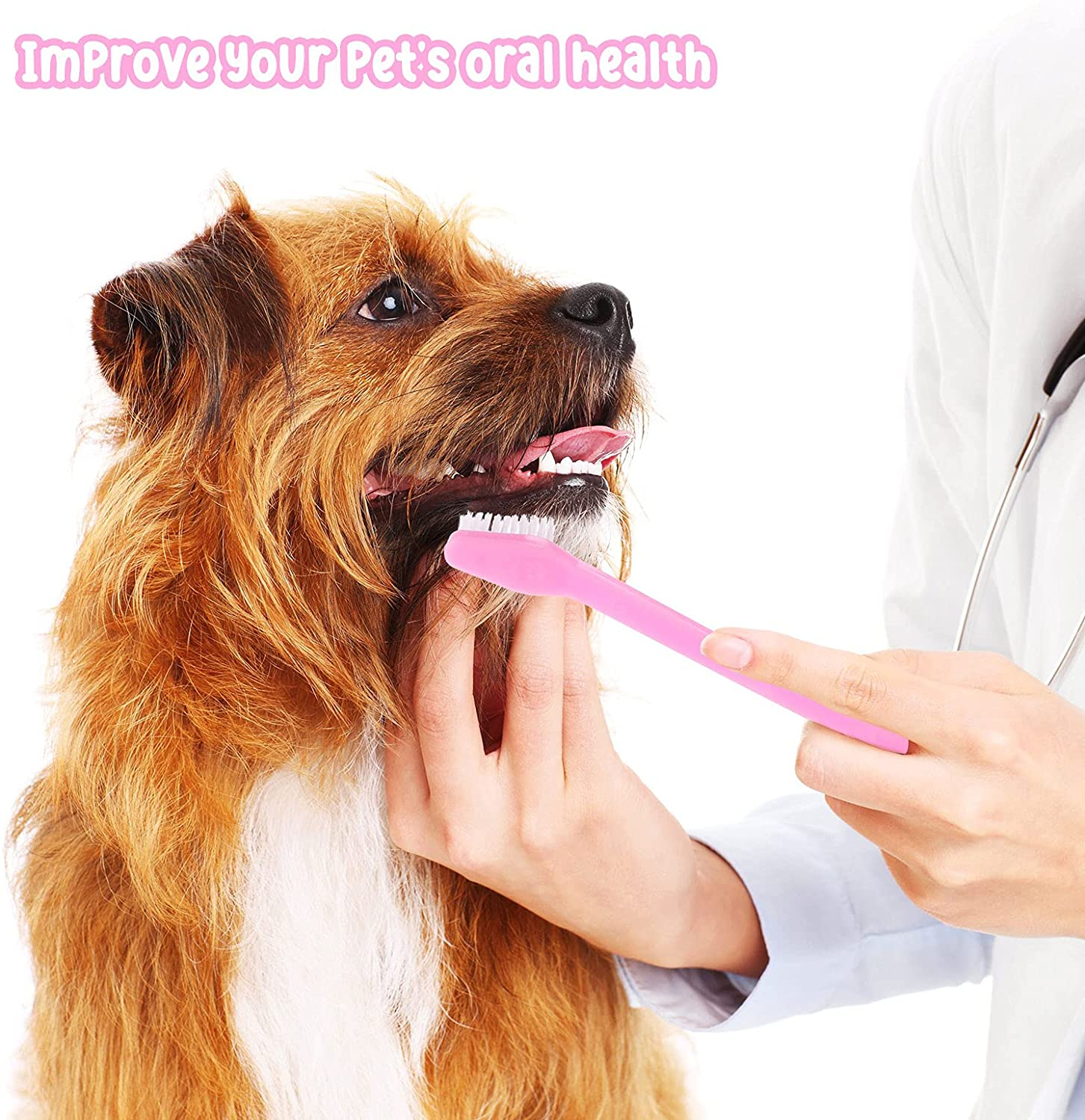 Foto 7 pulgar | Cepillo De Dientes Jieyou Para Perros Y Gatos De Doble Cabeza, 60 Piezas - Venta Internacional.