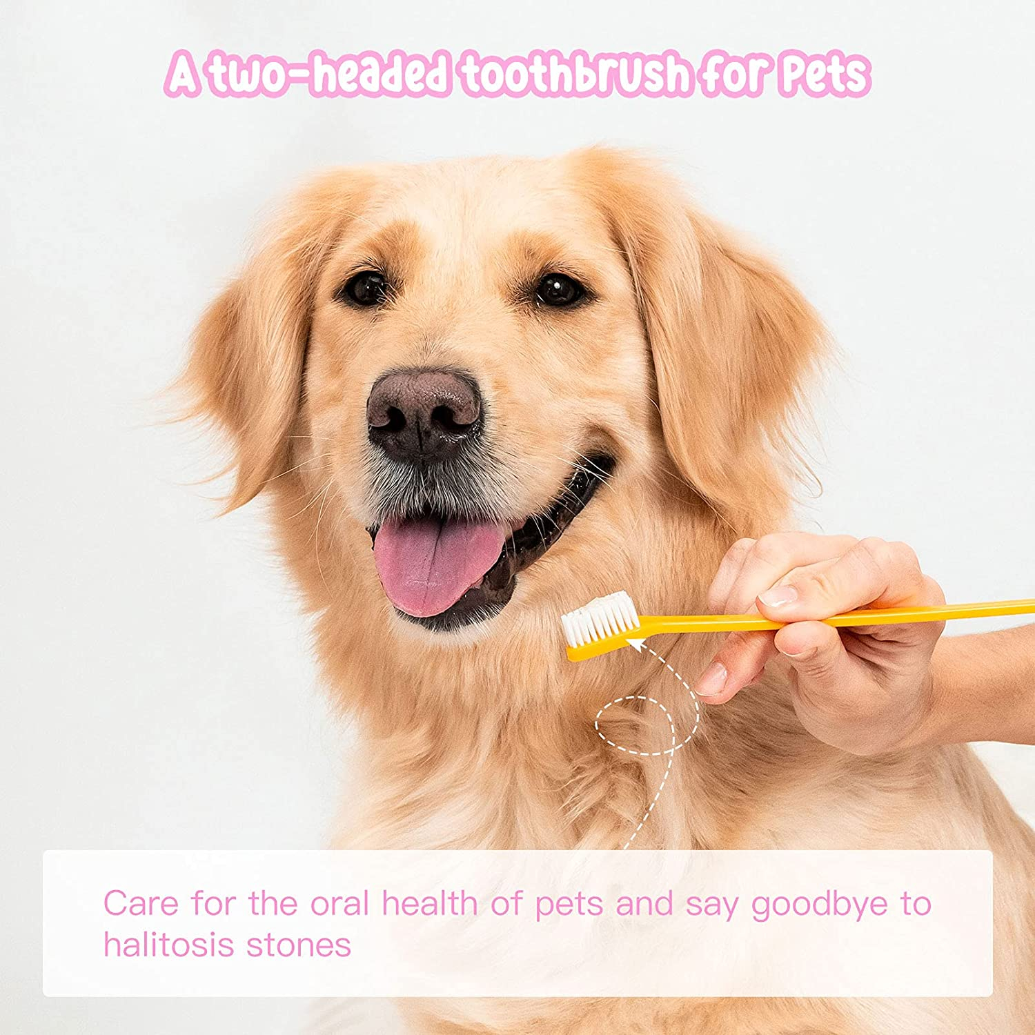 Foto 8 pulgar | Cepillo De Dientes Jieyou Para Perros Y Gatos De Doble Cabeza, 60 Piezas - Venta Internacional.