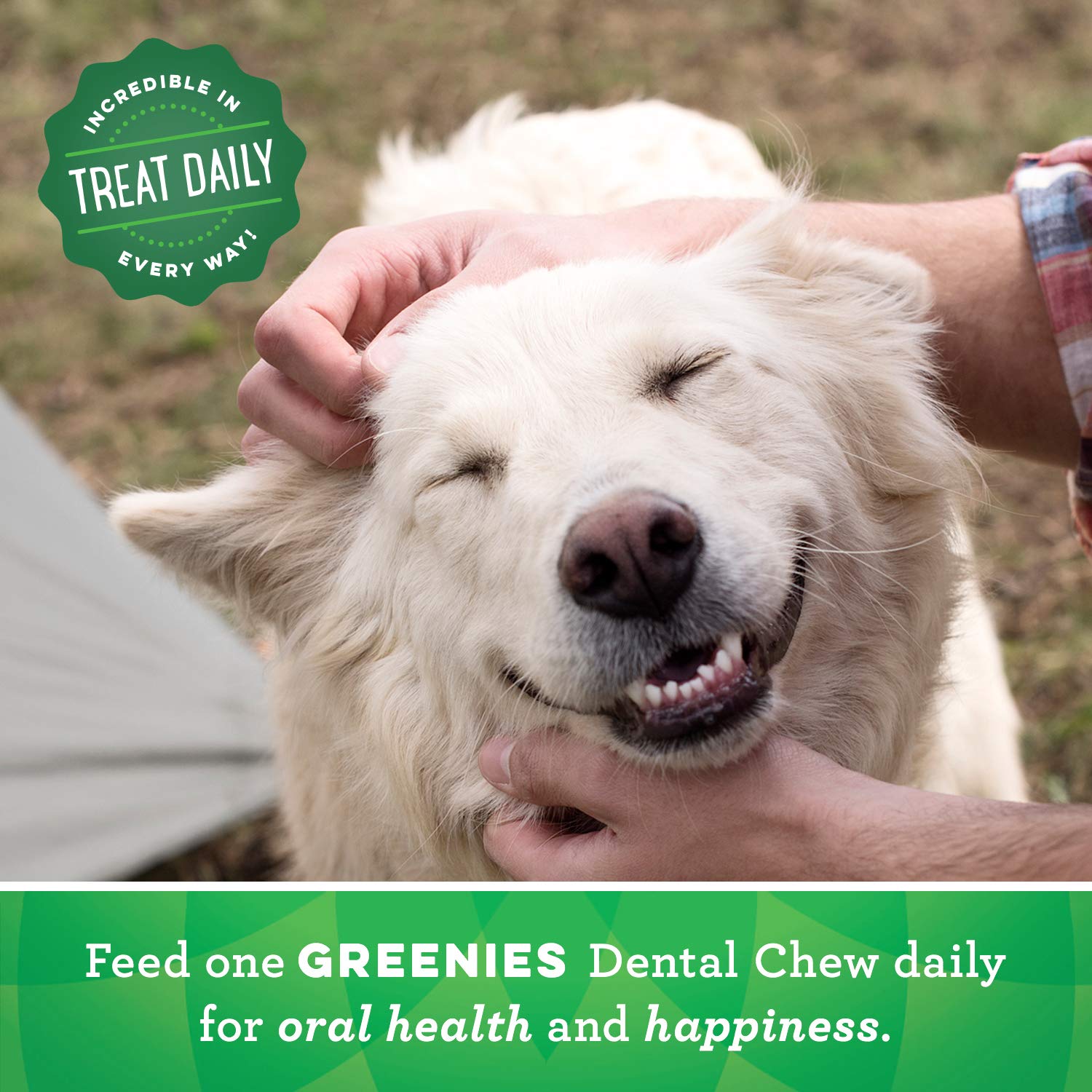 Foto 5 | Golosinas Para Perros Greenies Original Petite Dental Care, 1,06 Kg - Venta Internacional.