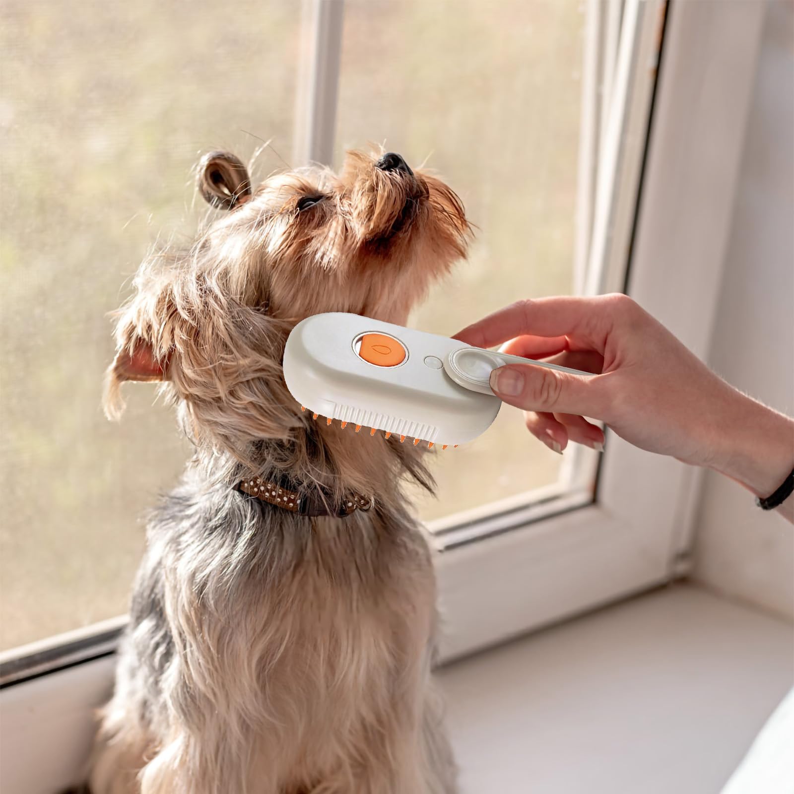 Foto 7 pulgar | Cepillo De Aseo A Vapor Para Mascotas Steamy 2025 Para Perros Y Gatos - Venta Internacional.