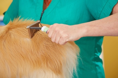 Foto 4 | Rastrillo De Aseo Andis 66050 Para Quitar Esteras Con 10 Cuchillas Para Mascotas - Venta Internacional.