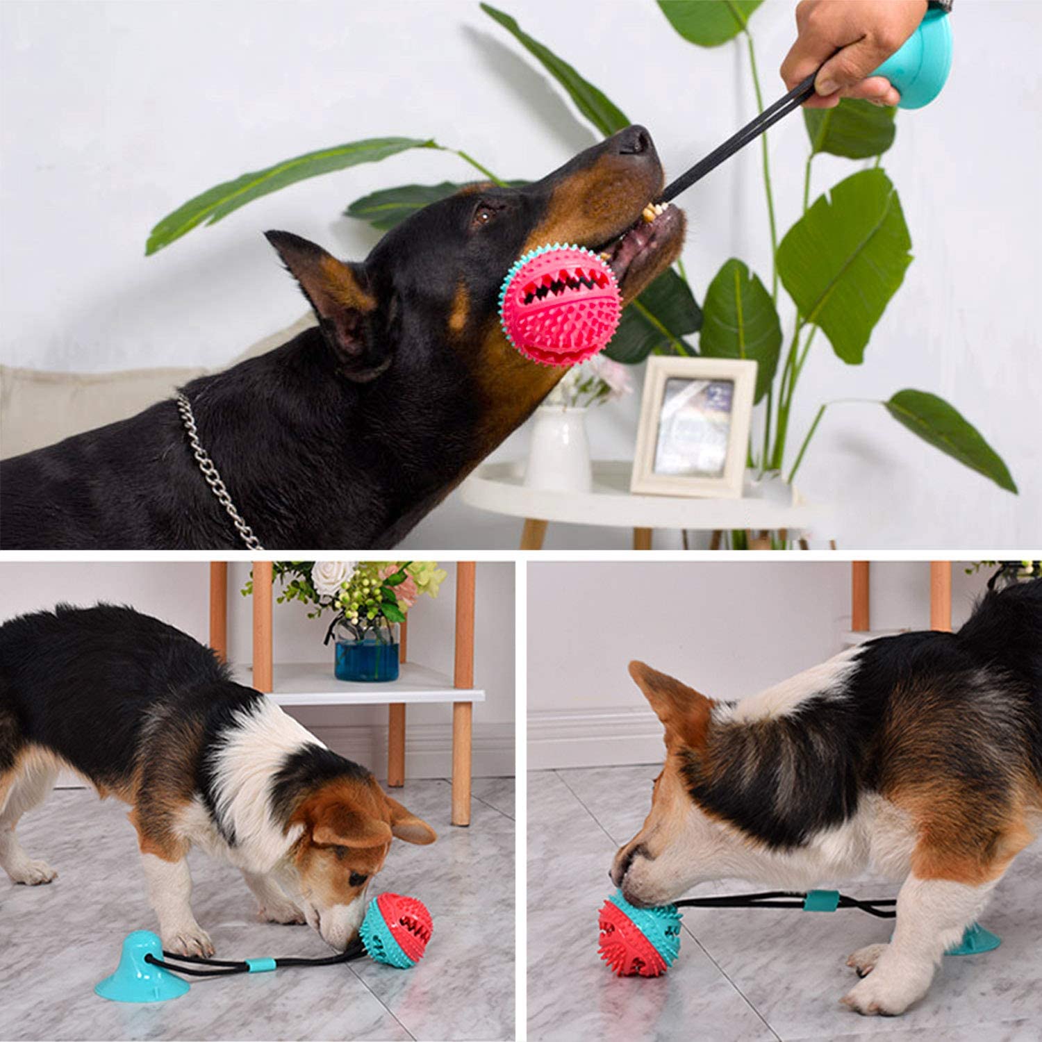 Foto 2 pulgar | Ventosa De Juguete Masticable Para Perros Para Masticadores Agresivos Huoguo - Venta Internacional.