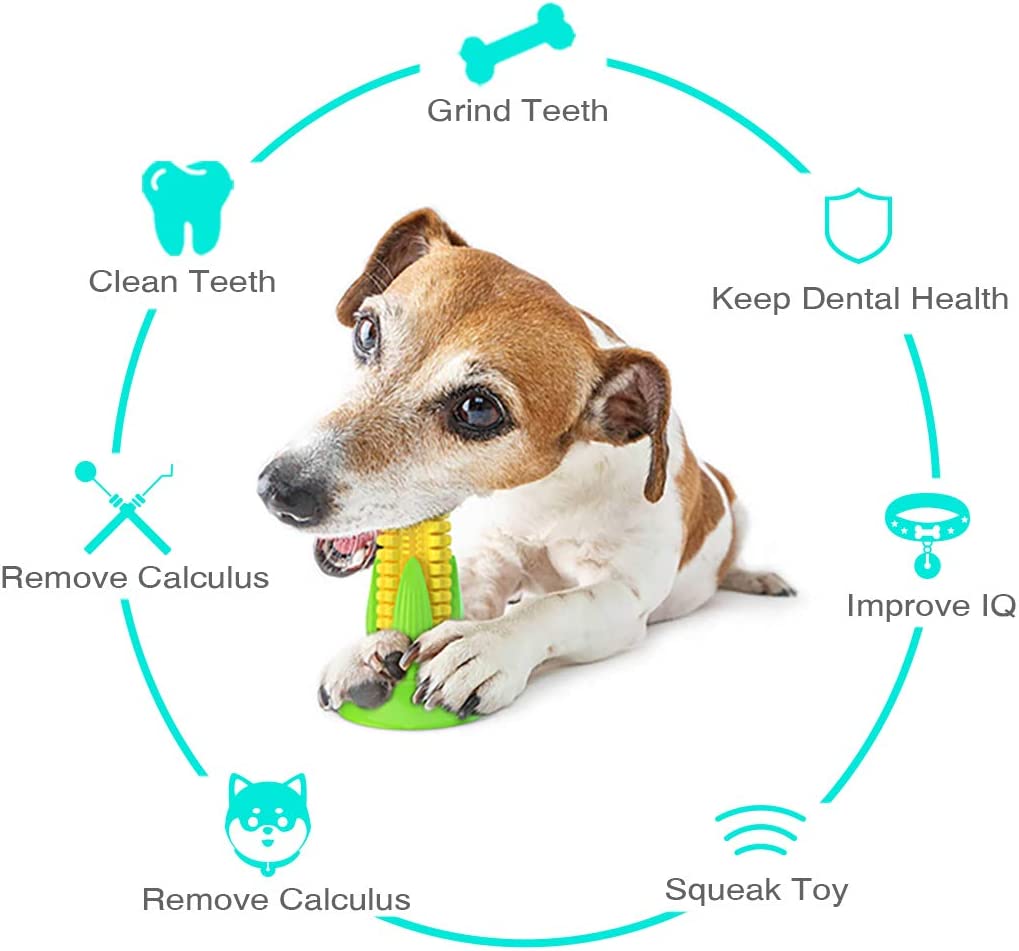 Foto 3 pulgar | Juguete Masticable Dog Squeaky Con Ventosa Para La Salud Dental - Venta Internacional.