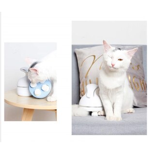 Foto 3 | Masajeador Para Gatos Sanlin Beans Con Carga Inteligente 3d Head Water - Venta Internacional.