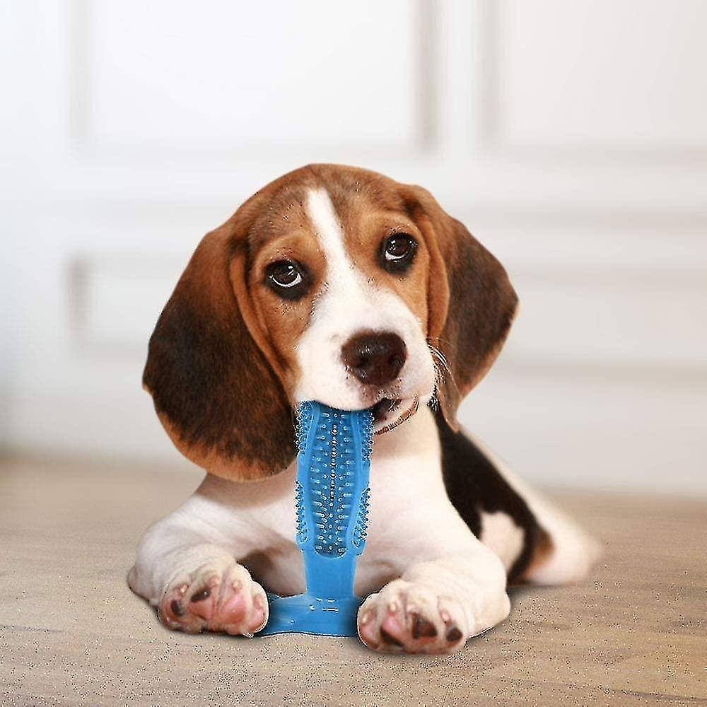 Foto 4 pulgar | Juguete Masticable Con Cepillo De Dientes Para Perros Huoguo, Con Depósito De Pasta De Dientes - Venta Internacional.