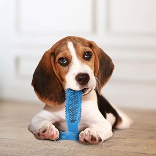 Foto 3 | Juguete Masticable Con Cepillo De Dientes Para Perros Huoguo, Con Depósito De Pasta De Dientes - Venta Internacional.
