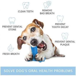 Foto 4 | Juguete Masticable Con Cepillo De Dientes Para Perros Huoguo, Con Depósito De Pasta De Dientes - Venta Internacional.