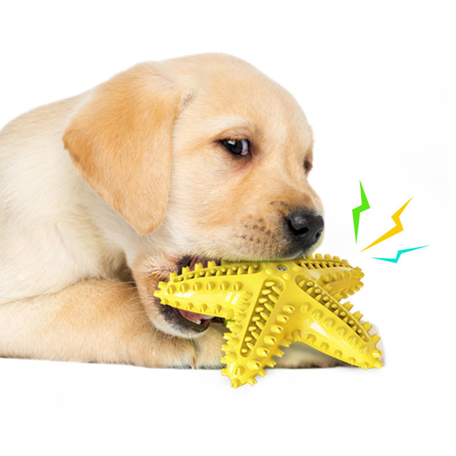 Foto 3 pulgar | Cepillo De Dientes Para Perros Huoguo, Limpiador De Dientes Duradero Para Mascotas - Venta Internacional.