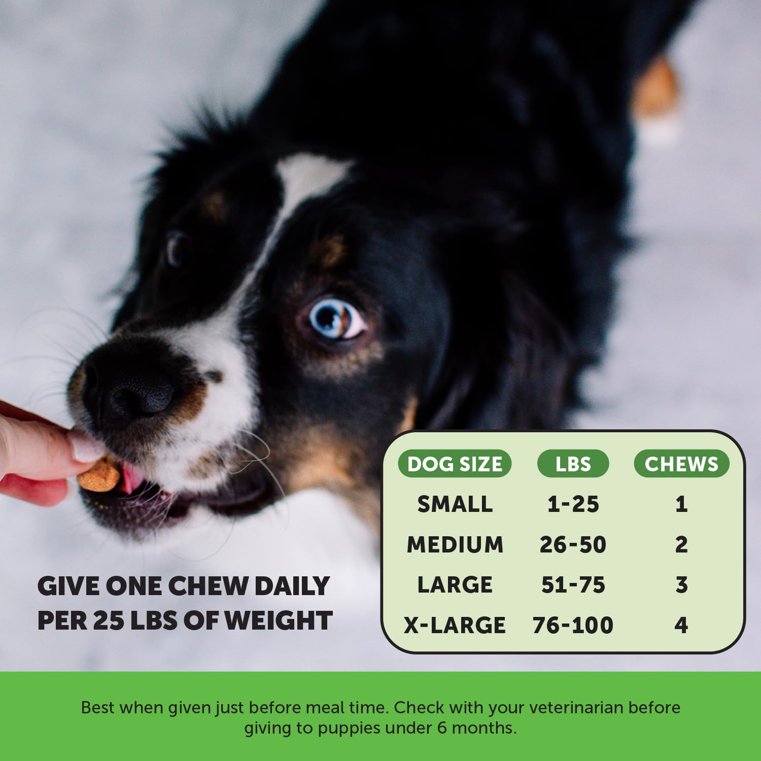 Foto 6 pulgar | Dog Grass Spot Saver Pet Honesty Green 90 Masticables Blandos - Venta Internacional.