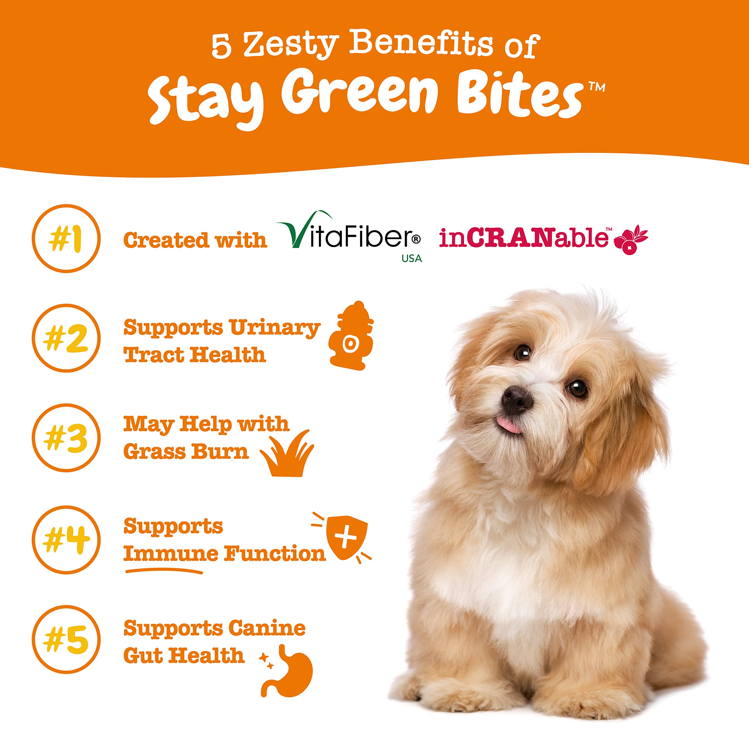 Foto 3 pulgar | Soft Chews Zesty Paws Stay Green Bites Para Perros, 90 G De Ternera - Venta Internacional.