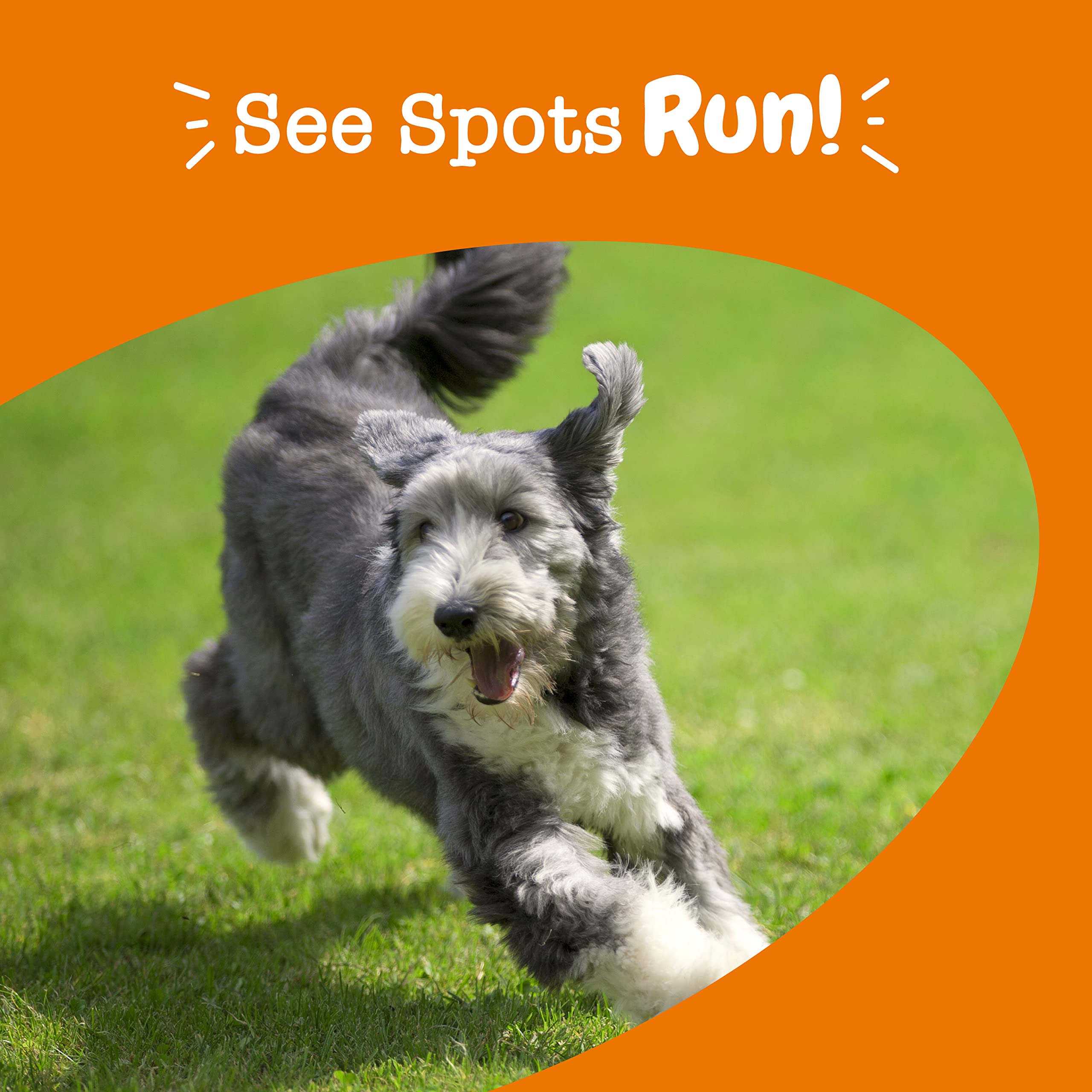 Foto 7 | Soft Chews Zesty Paws Stay Green Bites Para Perros, 90 G De Ternera - Venta Internacional.