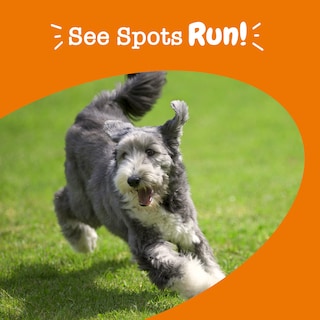 Foto 7 | Soft Chews Zesty Paws Stay Green Bites Para Perros, 90 G De Ternera - Venta Internacional.