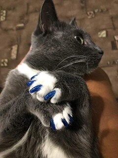 Foto 6 | Tapones De Uñas Ymccool Para Gatos, 100 Unidades, Con Adhesivo, Pegamento Y Aplicador - Venta Internacional.