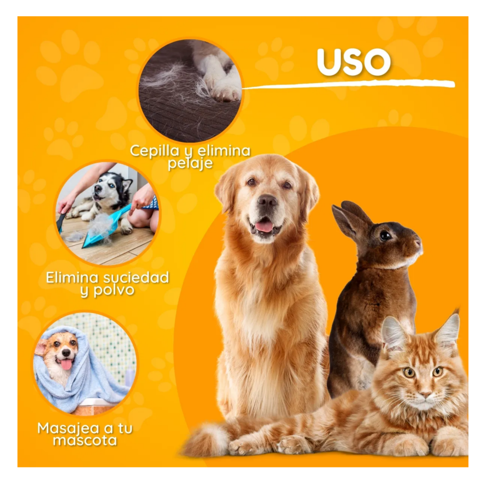 Foto 4 pulgar | Kit Cepillo Y Tijeras Mascota 7pz Lab.g  Colores