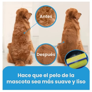 Foto 3 | Cepillos Mascotas Belug Azul Marino Amarillo