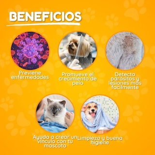 Foto 4 | Kit Cepillo Y Tijeras Mascota Belug 7pz Colores