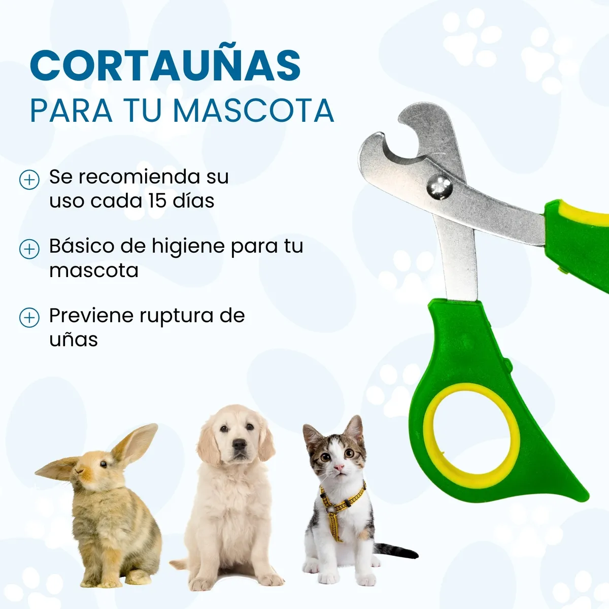 Foto 4 pulgar | Kit Cepillo Y Tijeras Mascota  Lab.g  7pz Colores
