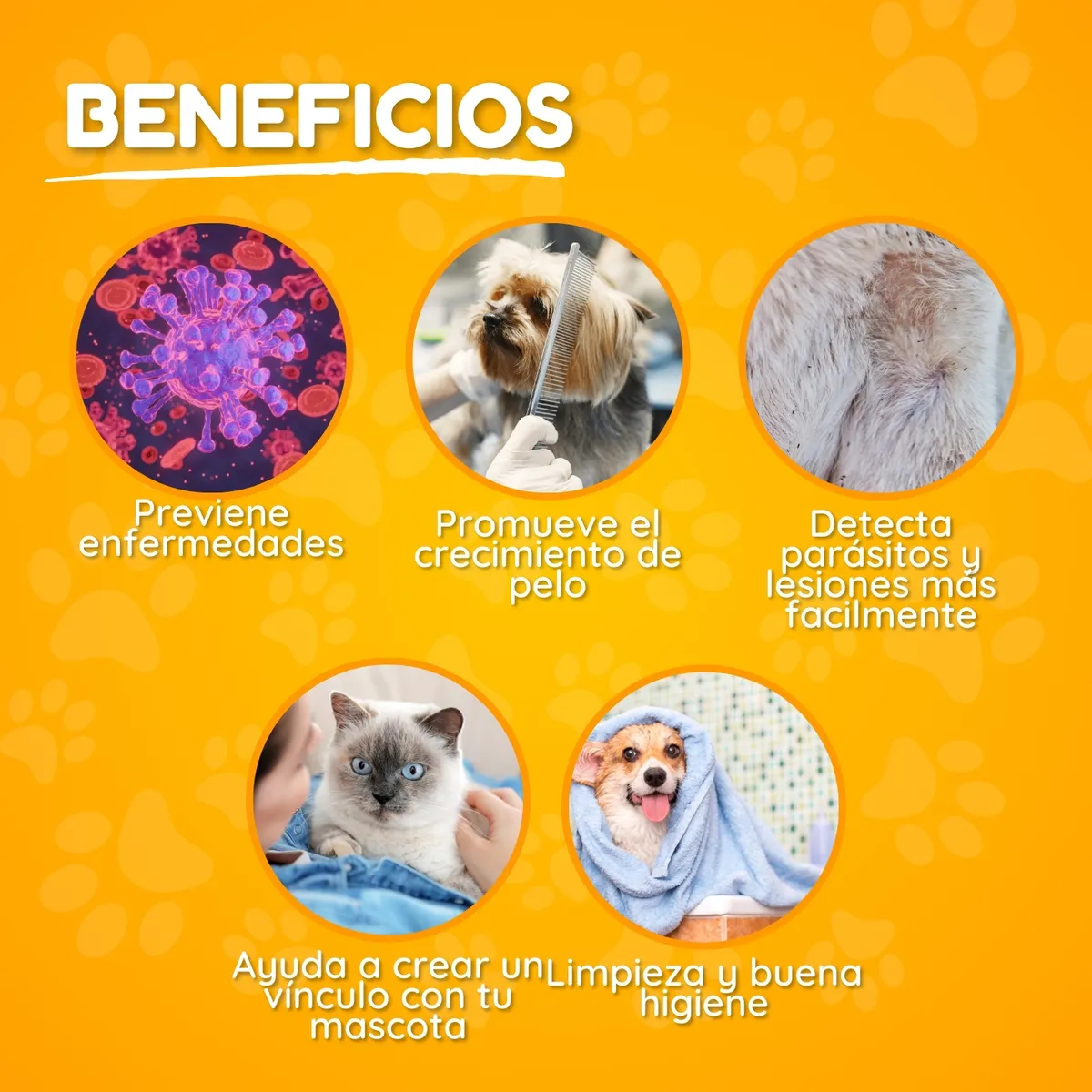 Foto 4 | Kit Cepillo Y Tijeras Mascota  Lab.g  7pz Colores