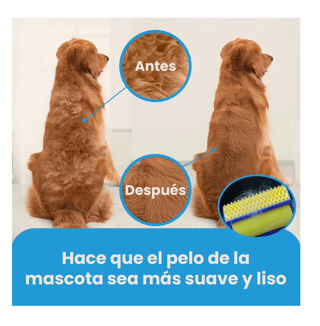Foto 5 pulgar | Cepillos De 2 En 1 Aseo Para Mascotas Para Perros
