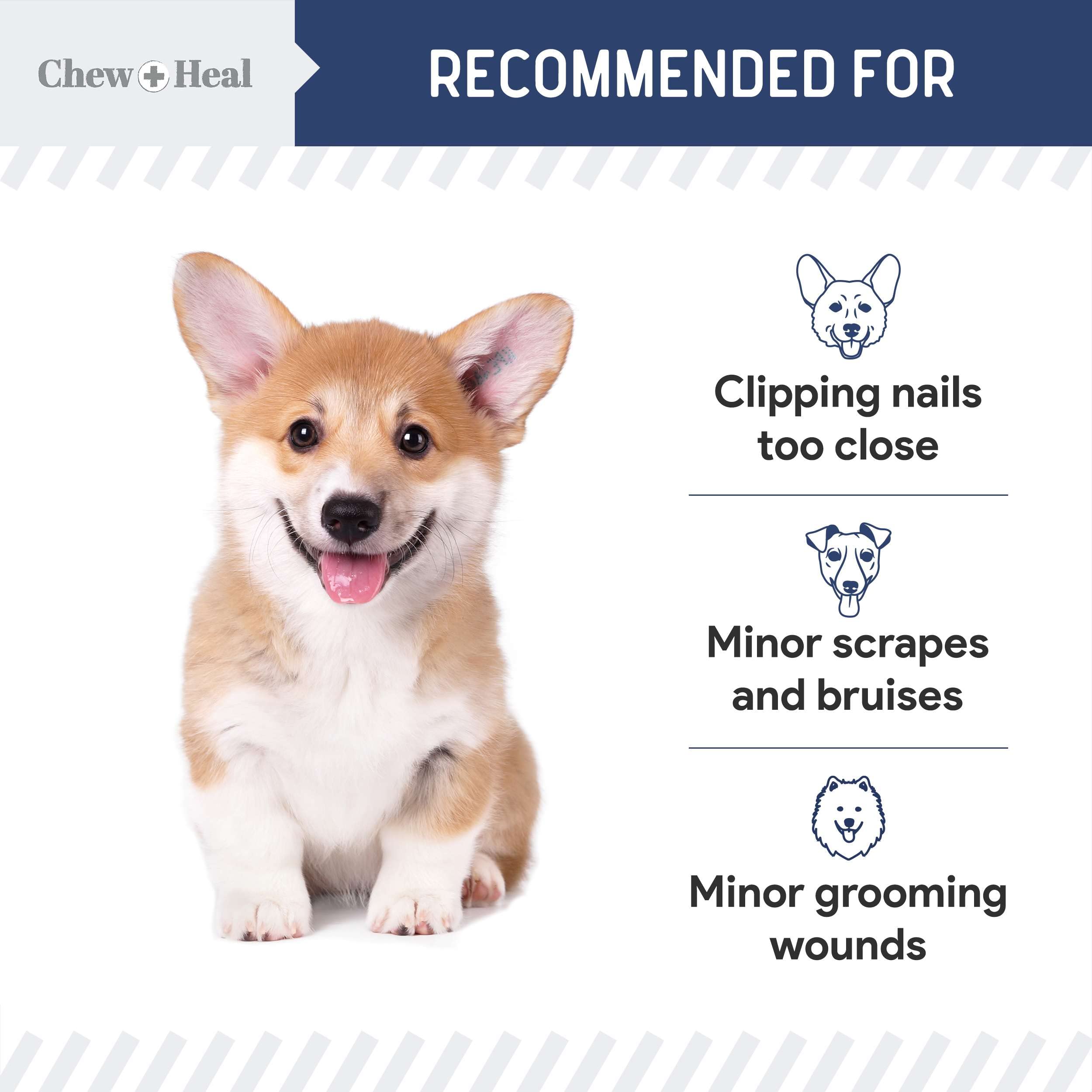 Foto 6 pulgar | Polvo Astringente Chew + Heal Labs Para Perros Y Gatos  45 Ml - Venta Internacional.