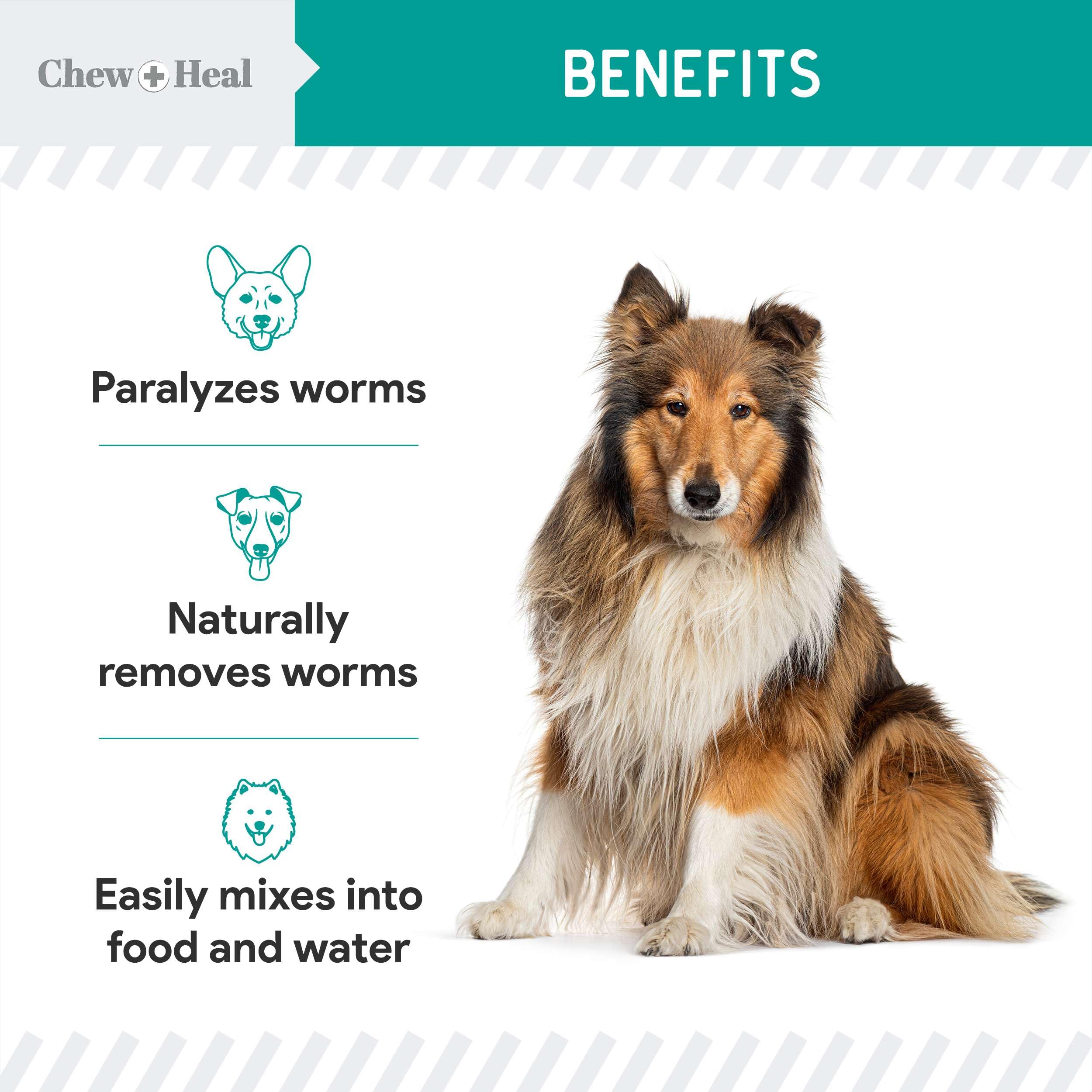 Foto 3 | Líquido Antiparasitario Dewormer Chew + Heal  355 Ml  Para Perros Y Gatos - Venta Internacional.