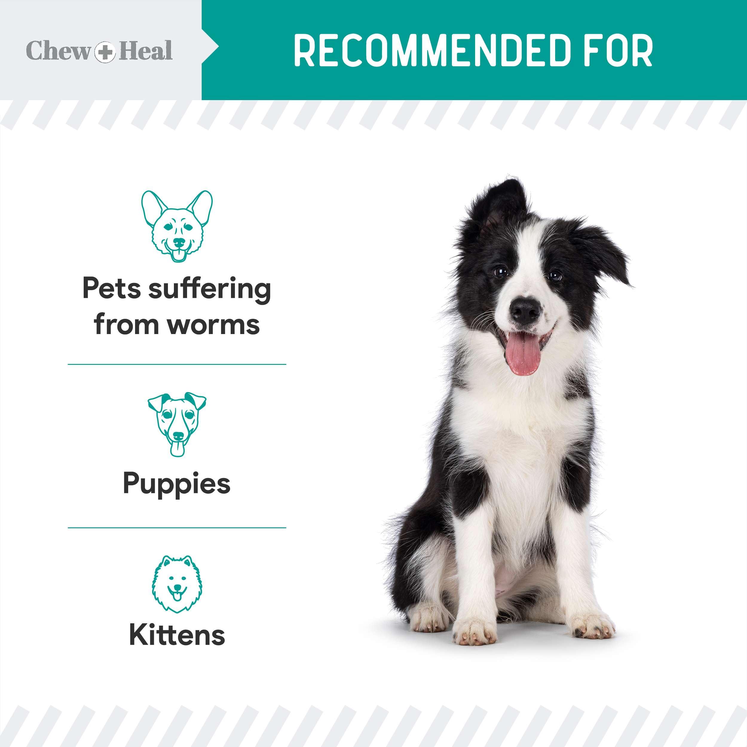 Foto 5 pulgar | Líquido Antiparasitario Dewormer Chew + Heal  355 Ml  Para Perros Y Gatos - Venta Internacional.