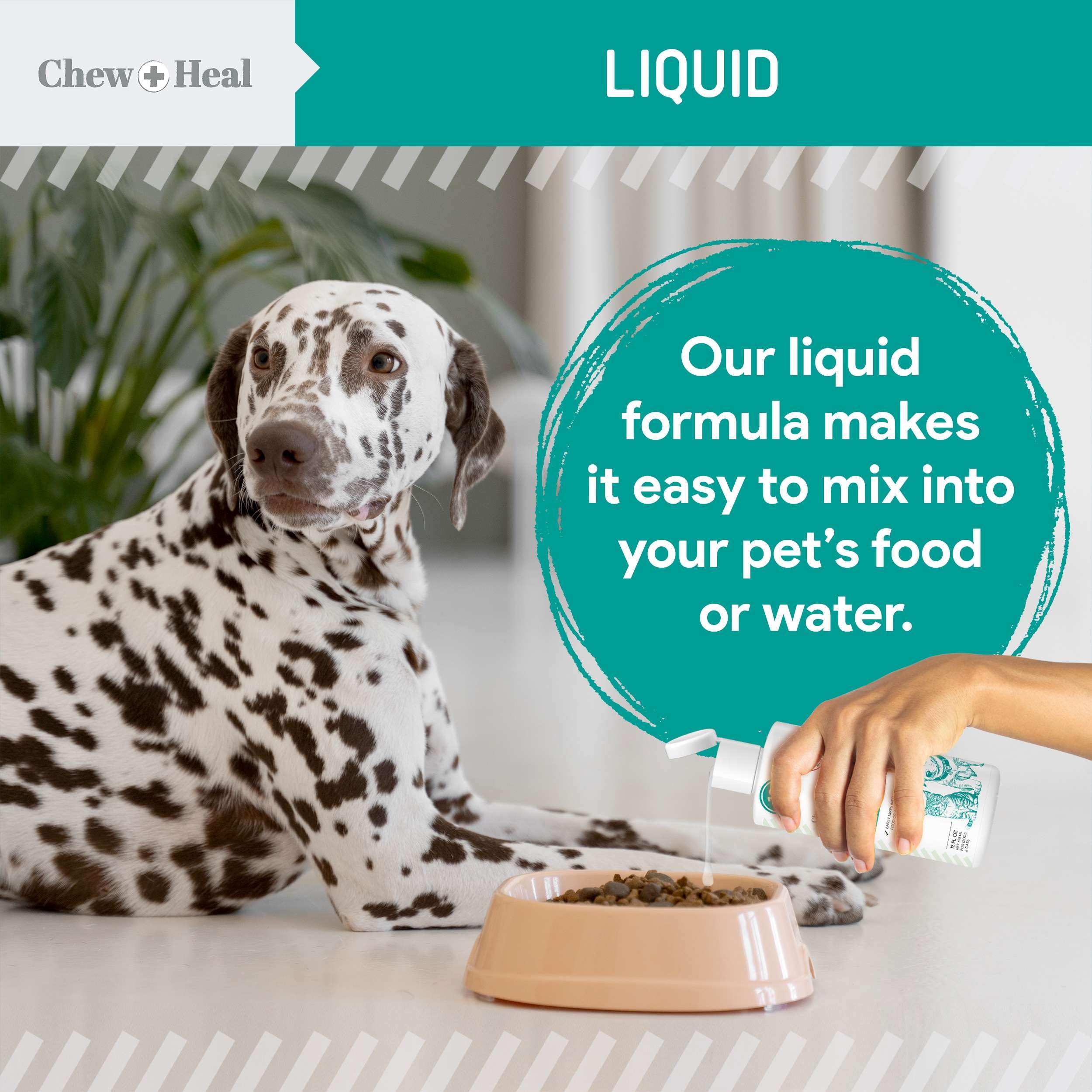 Foto 6 pulgar | Líquido Antiparasitario Dewormer Chew + Heal  355 Ml  Para Perros Y Gatos - Venta Internacional.