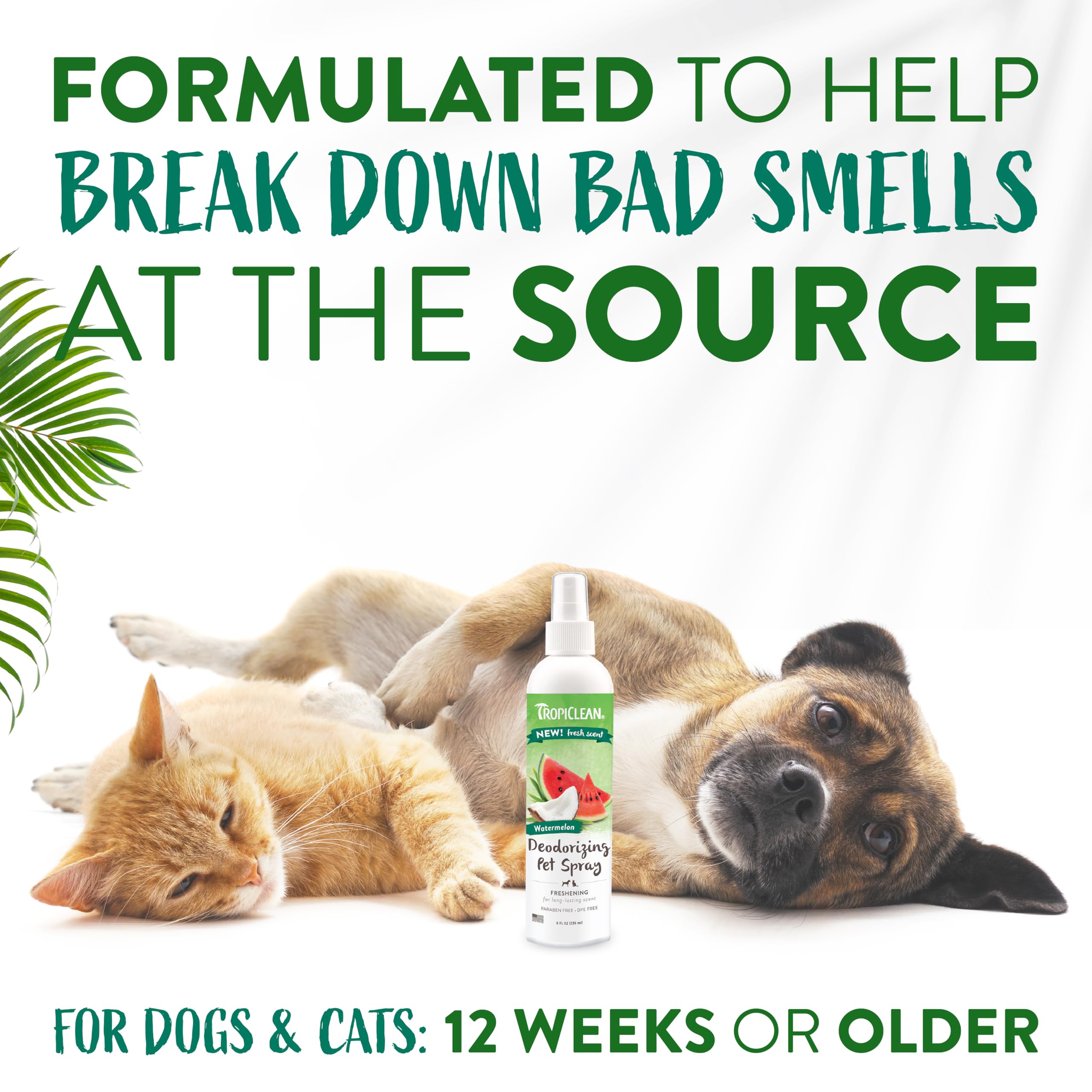 Foto 5 pulgar | Spray Desodorizante Tropiclean Watermelon Para Gato Y Perro, 240 Ml - Venta Internacional.