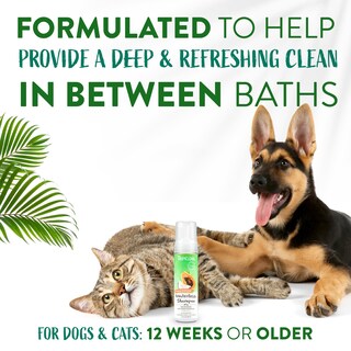 Foto 5 | Champú Sin Agua Tropiclean Watermelon Para Perros Y Gatos, 220 Ml - Venta Internacional.