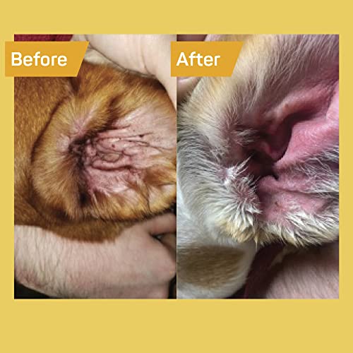 Foto 4 pulgar | Toallitas Para El Cuidado De Los Oídos Absorbine Silver Honey Rapid Vet Strength - Venta Internacional.