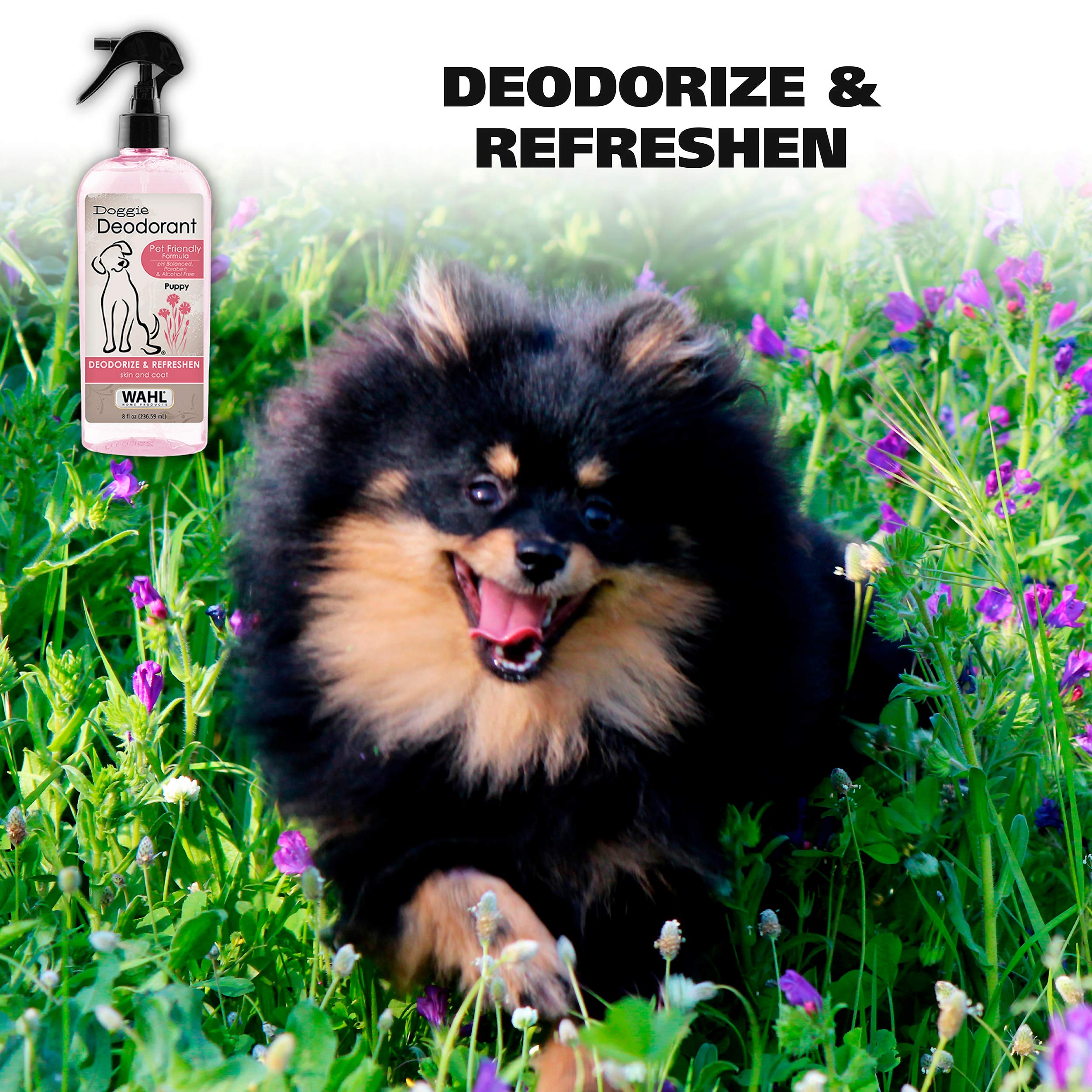Foto 3 pulgar | Desodorante Para Mascotas Wahl Cianflower Aloe Clean Fresh Smell 240 Ml - Venta Internacional.