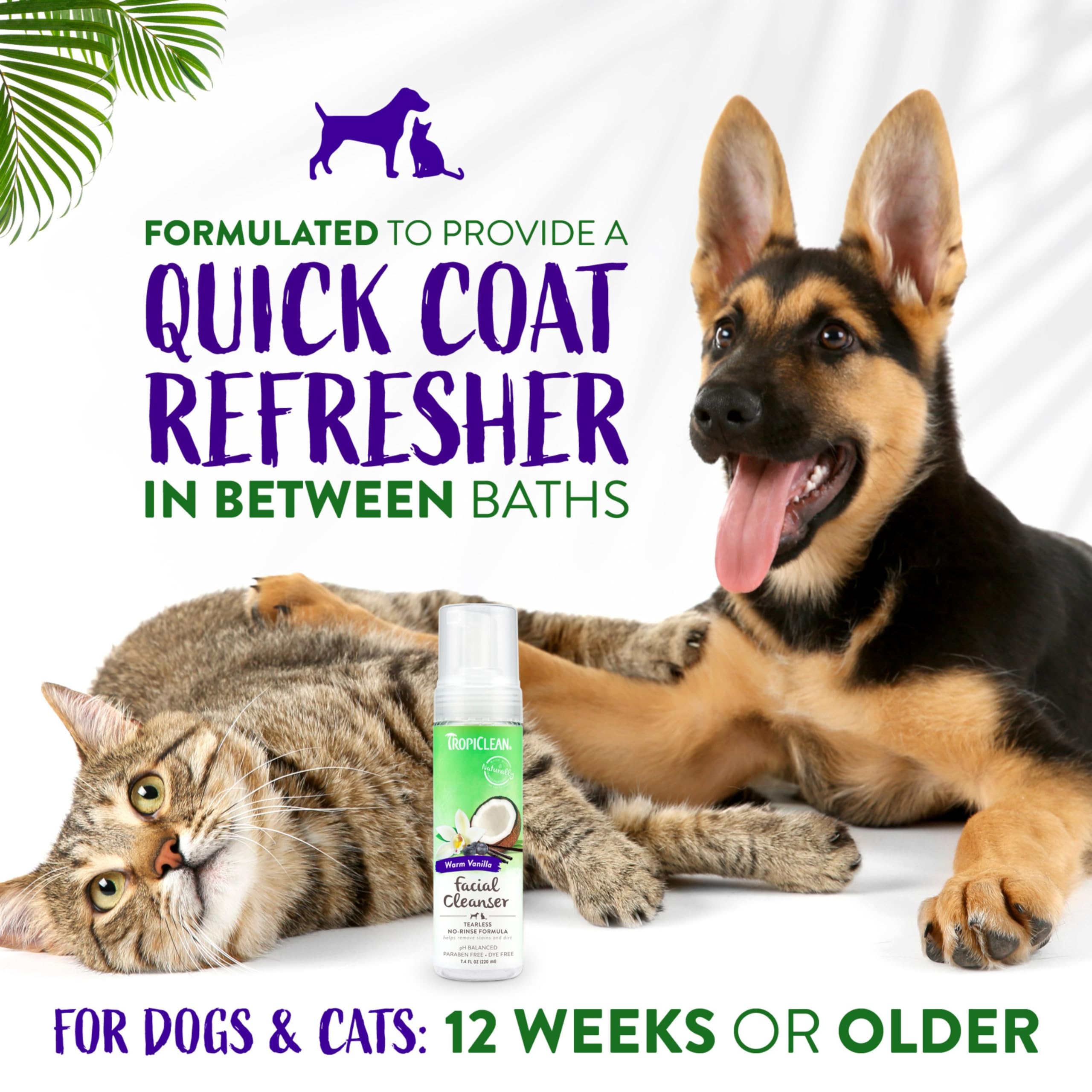 Foto 5 pulgar | Limpiador Facial Sin Agua Tropiclean Warm Vanilla 220 Ml Para Perros - Venta Internacional.