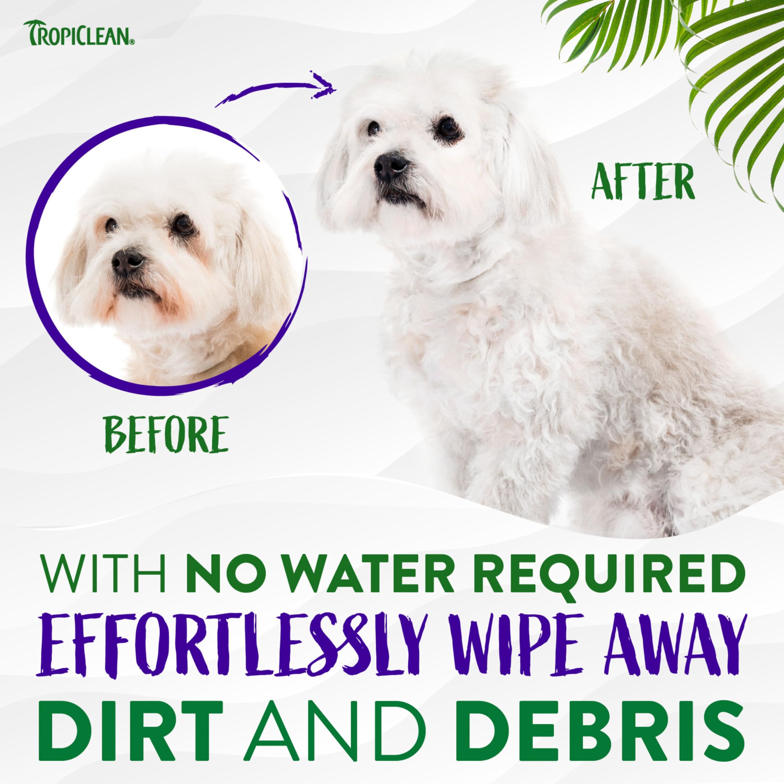 Foto 6 pulgar | Limpiador Facial Sin Agua Tropiclean Warm Vanilla 220 Ml Para Perros - Venta Internacional.