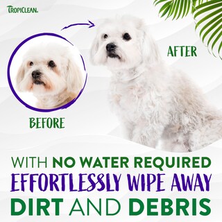 Foto 5 | Limpiador Facial Sin Agua Tropiclean Warm Vanilla 220 Ml Para Perros - Venta Internacional.