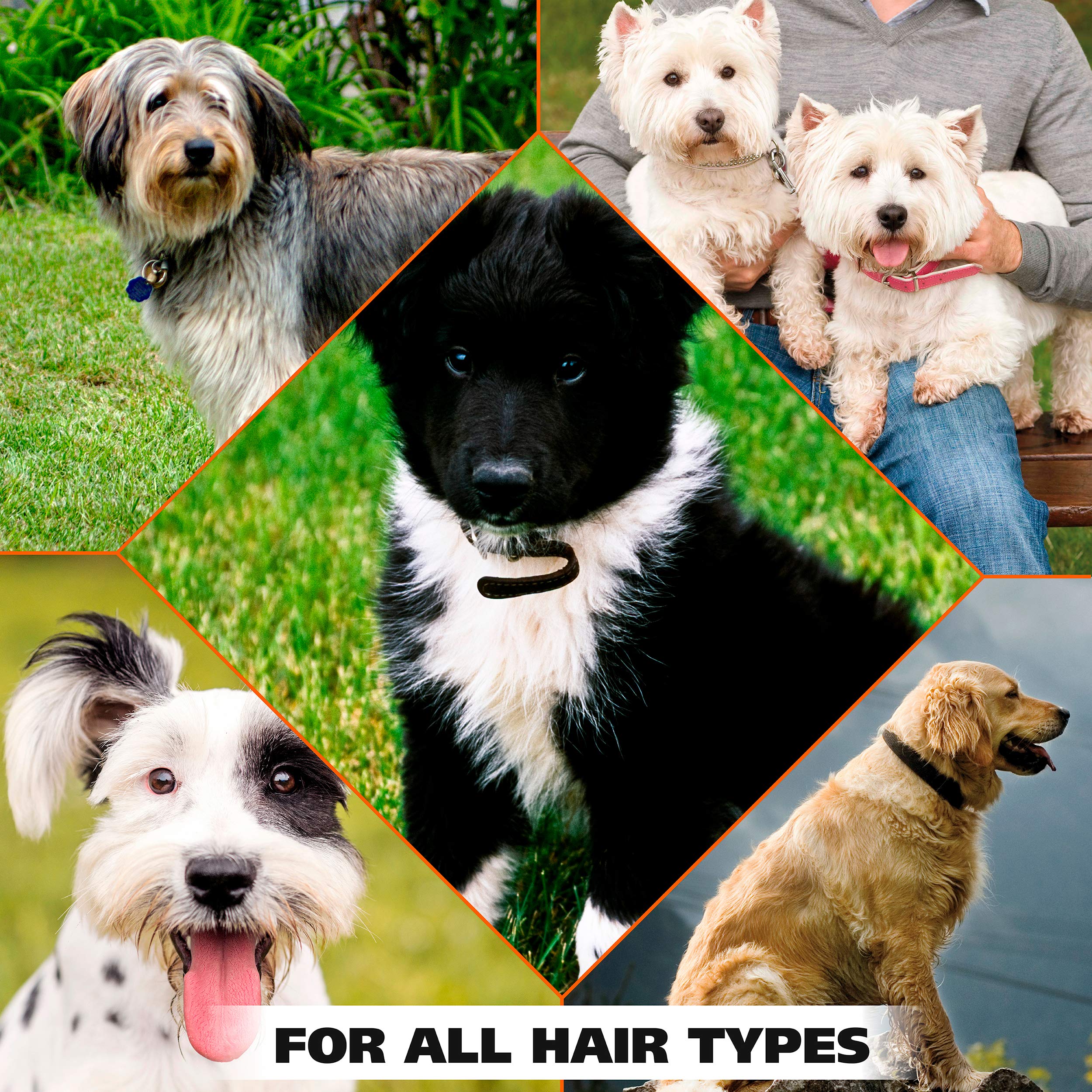 Foto 6 | Desodorante En Aerosol Wahl Desodorizante Y Refrescante Para Perros 240 Ml - Venta Internacional.