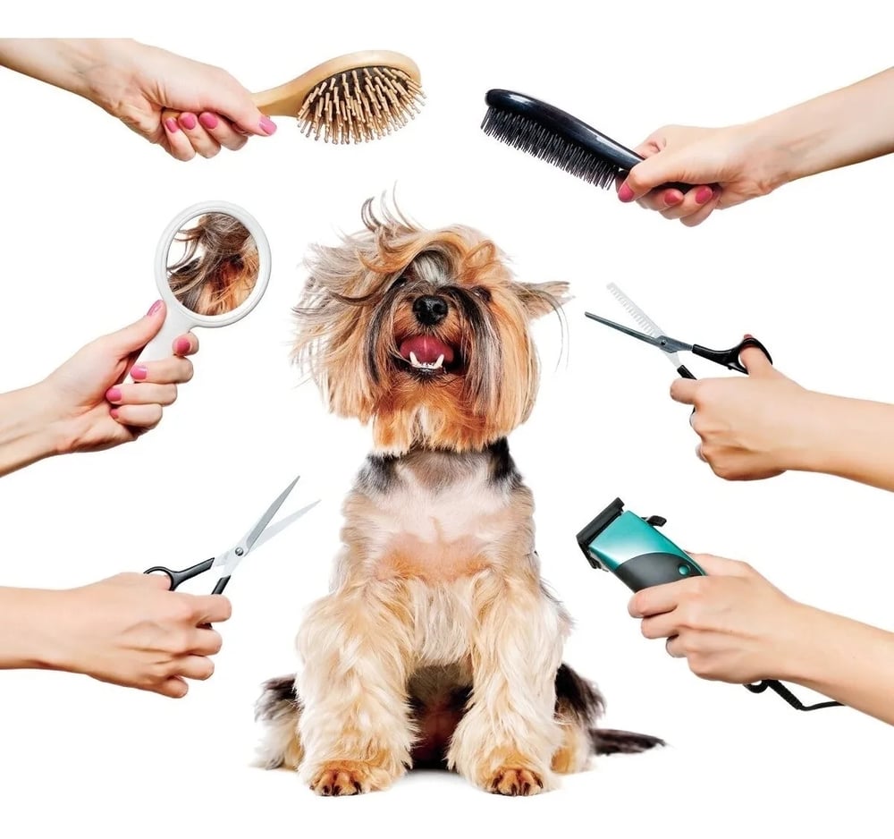 Foto 2 | Máquina Cortadora De Pelo Para Mascotas Para Perros Y Gatos - Venta Internacional.