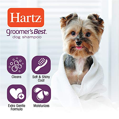 Foto 5 pulgar | El Mejor Champú Anticaspa Para Perros Hartz Groomer - Venta Internacional.