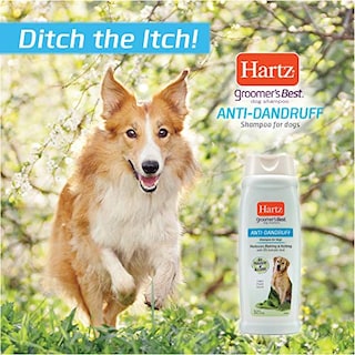 Foto 6 | El Mejor Champú Anticaspa Para Perros Hartz Groomer - Venta Internacional.