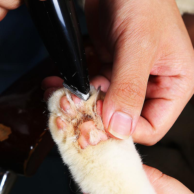 Foto 4 pulgar | Cortadora Eléctrica De Pelo Para Mascotas Sanlin Beans Con Carga Usb - Venta Internacional.