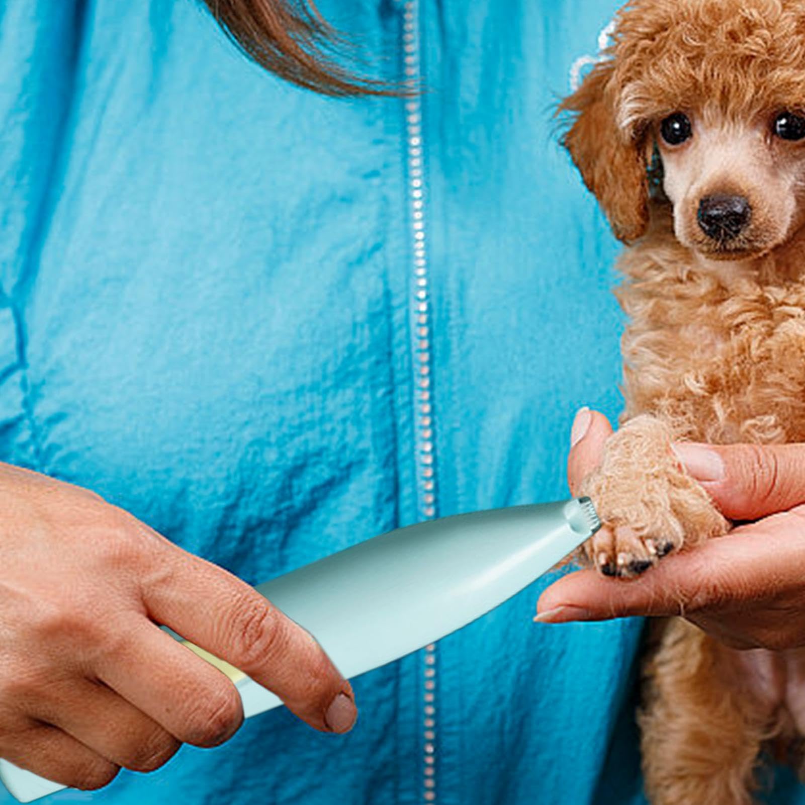 Foto 4 pulgar | Cortadora De Patas Para Perros, Cortapelos, Recargables, Inalámbricos - Venta Internacional.